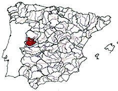 Cobitis vettonica_mapa.jpg